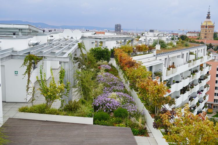 Flachdach abdichten Wien – Kosten & Anbieter 2025